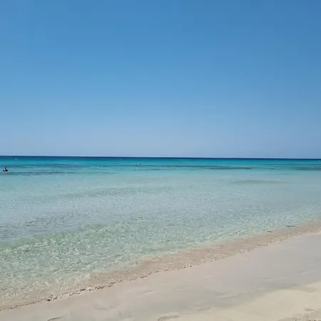 Posidonia -son Bou 아파트 *