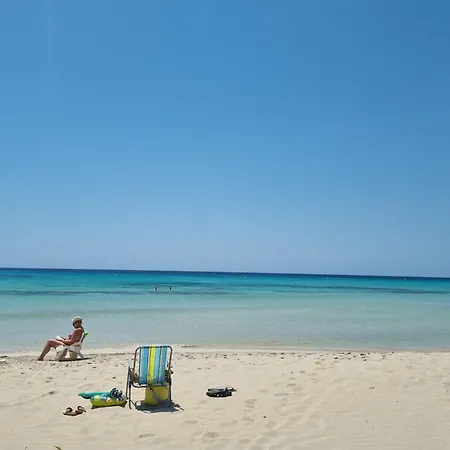 아파트 Posidonia -son Bou *