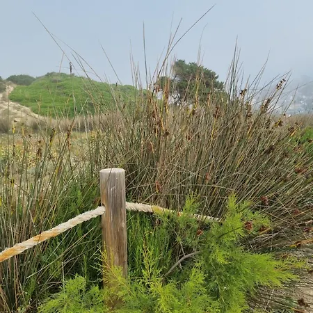 아파트 Posidonia -son Bou 손 보우
