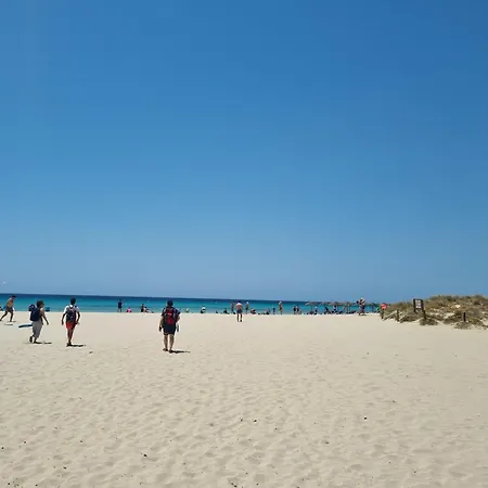 아파트 Posidonia -son Bou 손 보우