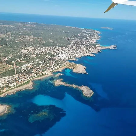 Daire Posidonia -son Bou