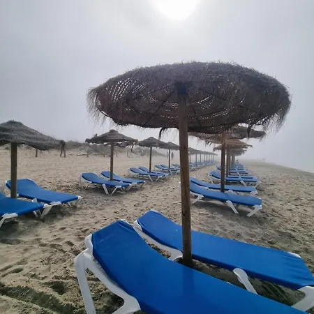 Posidonia -son Bou Daire *
